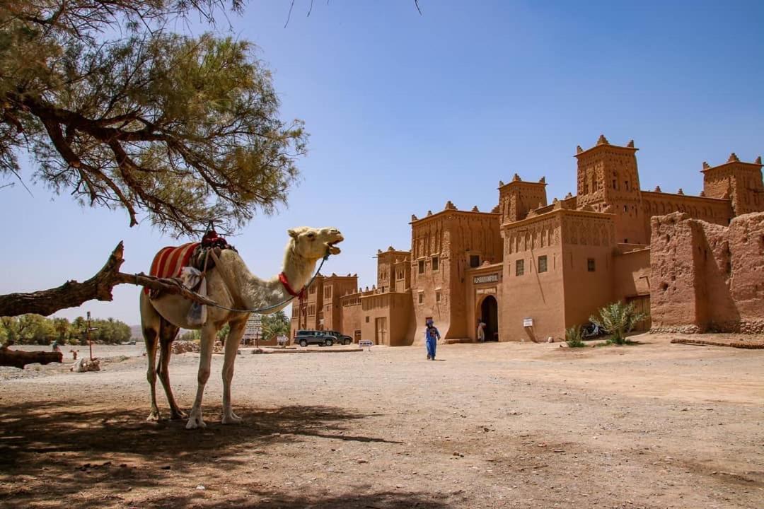 Kasbah Tiriguioute Hotel Skoura Exterior photo