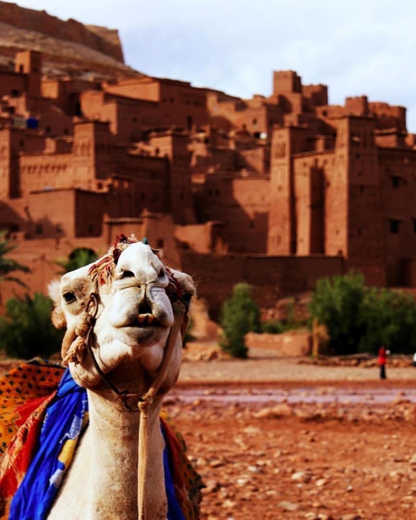 Kasbah Tiriguioute Hotel Skoura Exterior photo